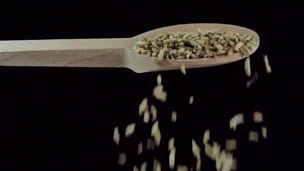 One Spoon Fennel Seeds Spices Food Ingredients Slow Motion — Stock Video