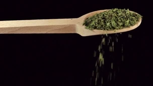 One Spoon Corriander Leaves Spices Food Ingredients Slow Motion — Stock Video