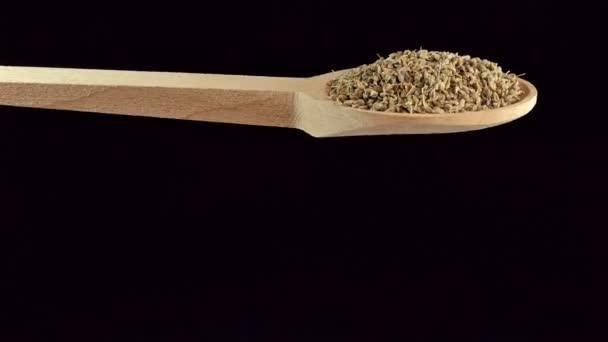 One Spoon Anise Seeds Spices Food Ingredients — 비디오