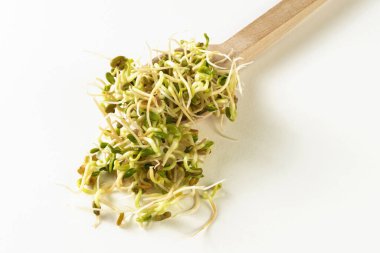 Beyaz arka planda tahta kaşıkta turp filizleri