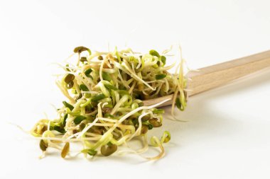 Beyaz arka planda tahta kaşıkta turp filizleri