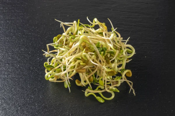 Radish Sprouts Heap Isolated Black Slate Plate Background Nutrition Bio — Stock Photo, Image
