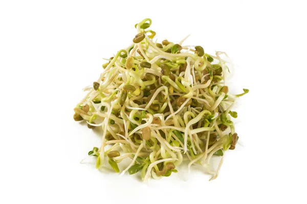 Radish Sprouts Heap Isolated White Background Nutrition Bio Natural Food — Stock Photo, Image