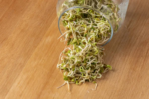 Ahşap arka planda cam kavanozda turp filizleri. Beslenme. yemek malzemesi.