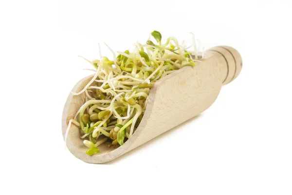 Radish Sprouts Wooden Scoop Isolated White Background Nutrition Bio Natural — Stock Photo, Image