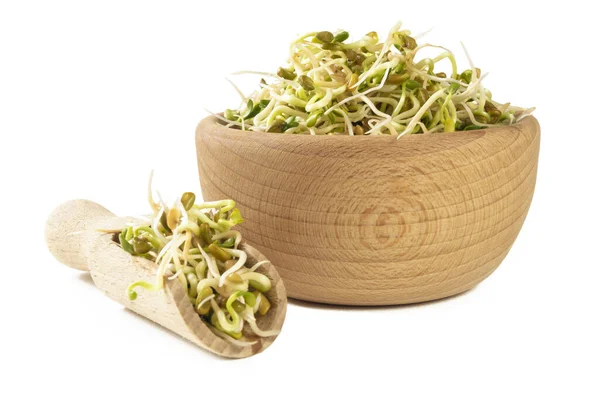 Radish Sprouts Wooden Bowl Scoop Isolated White Background Nutrition Food — Stock Photo, Image