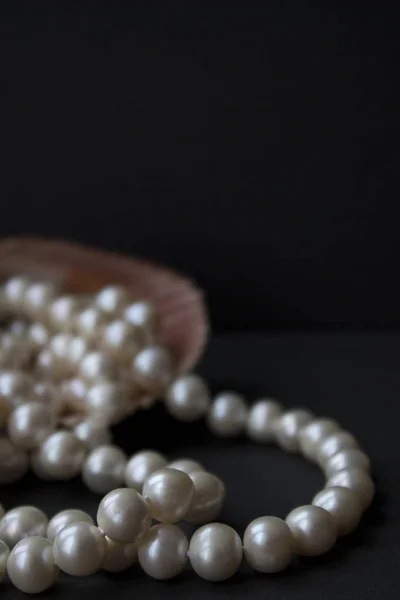 Sea Shell perły — Zdjęcie stockowe