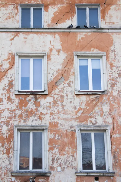Vintage Old Damaged Building with Windows and Pigeons