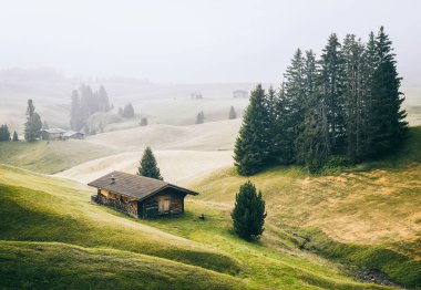 Alpe di Siusi çayır ve dağ chalets