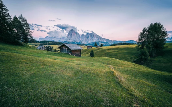 Alpe di Siusi çayırları