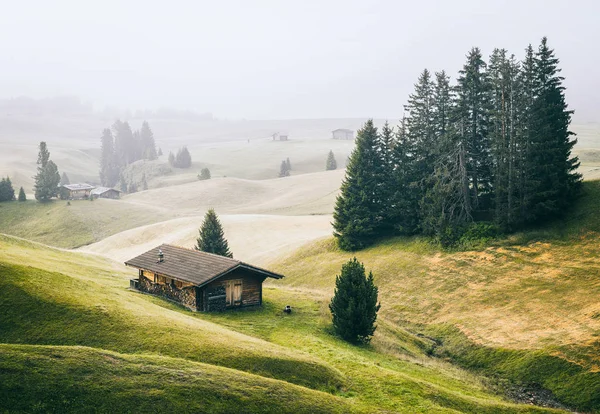 Alpe di Siusi çayır ve dağ chalets — Stok fotoğraf