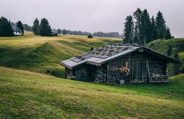 Alpine meadows Alpe di Siusi