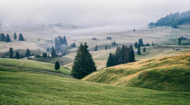 Alpine meadows Alpe di Siusi