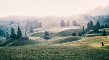 Alpine meadows Alpe di Siusi