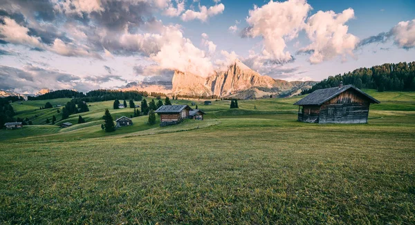 Alpine meadows Alpe di Siusi
