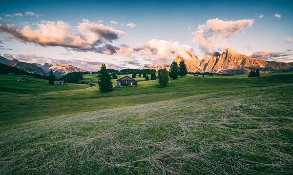 Alpine meadows Alpe di Siusi — 스톡 사진