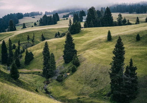 Alpine meadows Alpe di Siusi — Stock Photo, Image