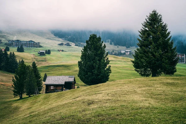 Alpine meadows Alpe di Siusi — Stock Fotó