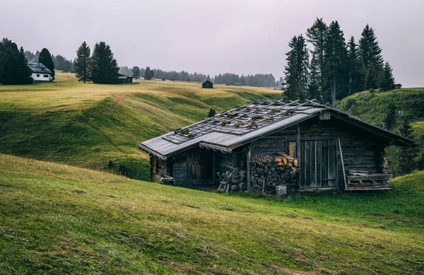 Alpine meadows Alpe di Siusi
