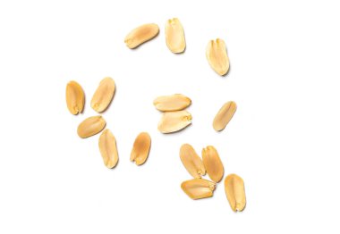 beyaz arkaplanda izole edilmiş yerfıstıkları