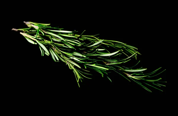 Fresh Rosemary Leaves Isolated Black Background Cutout — Stock Photo, Image