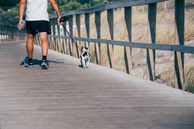 Adam köpek ahşap ayak Bridge'de sahilde yürüyor. 