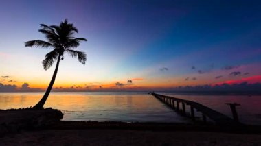 Beach Palm ufuk zaman atlamalı 4k