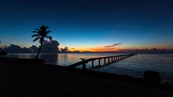 TEMPO DE PARADISE DE PALMA DE BEACH LAPSE 4K — Vídeo de Stock