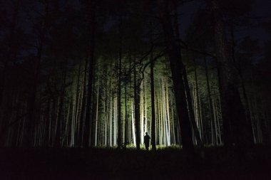 man with flashlight in the forest beetween trees