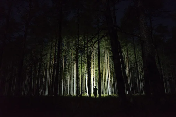 man with flashlight in the forest beetween trees