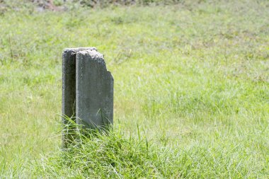 Beton yığını çim yeşil çimenlerin üzerinde.