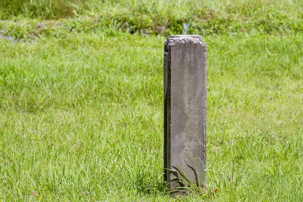 Beton yığını çim yeşil çimenlerin üzerinde.