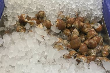 Yemek pişirmek için buz benekli Babylon'da