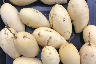 Mango sarı lezzetli.