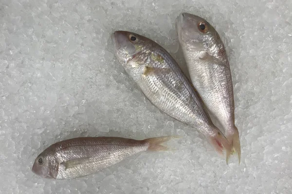 Kwiecisty filigranowa leszcze ryb w lodzie do gotowania. — Zdjęcie stockowe