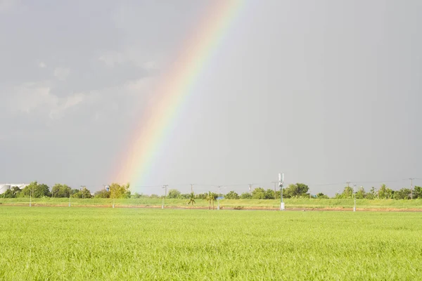 Arco iris con pasto verde — Foto de Stock