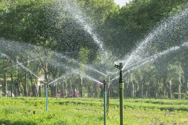 Springer de agua rociado en el jardín con fondo verde . —  Fotos de Stock