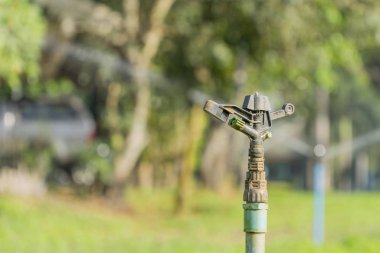 Eski su springer yeşil bir arka plan.