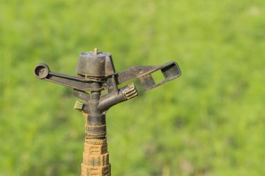 Eski su springer yeşil bir arka plan.