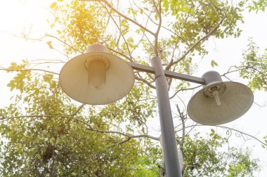 Siyah ve eski sütunlar içinde belgili tanımlık Bahçe aydınlatma