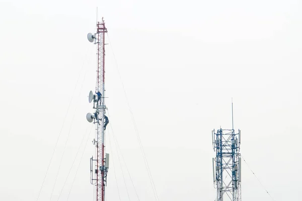 Señal Torre Comunicación Mantenimiento Antena Trabajador Trabajo — Foto de Stock