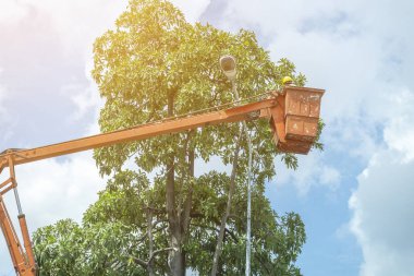 Ampulleri kaldırmak için vinç kullanın.