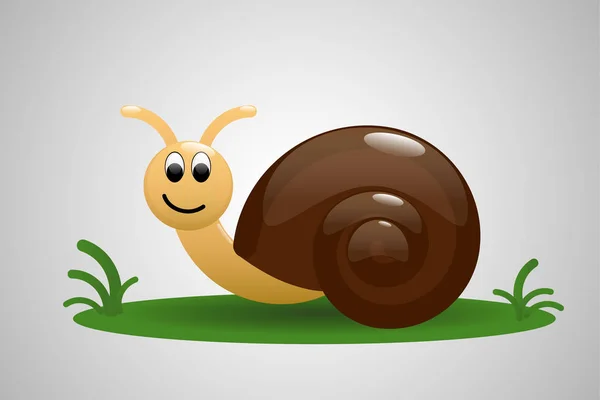 Snail vector illustration — Stock Vector