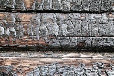 kömürleşmiş odun makro fotoğraf