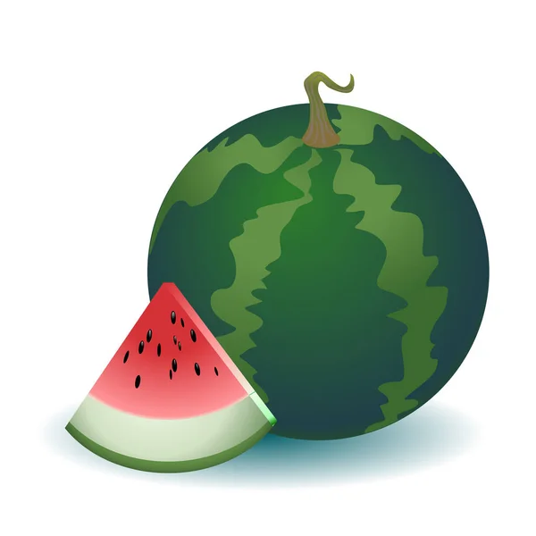 Watermelon vector illustration — Stock Vector