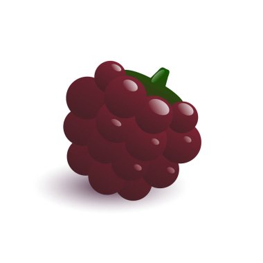 Olgun ahududu vektör çizim