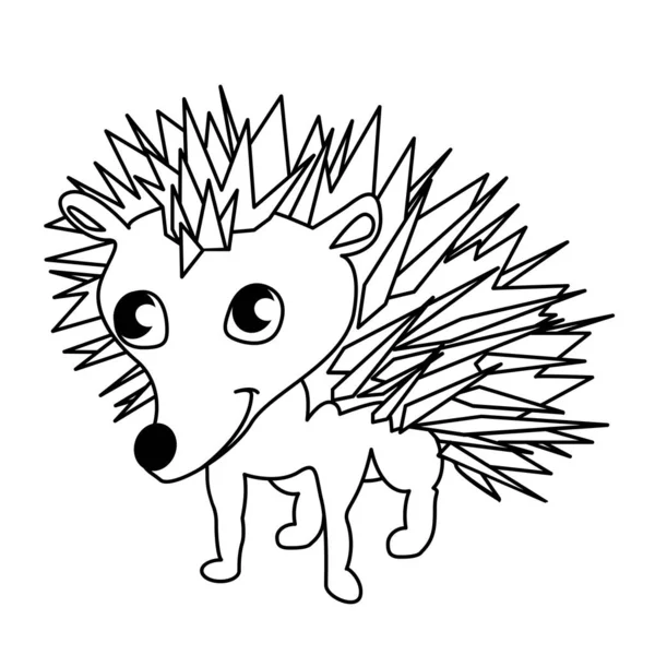 Hedgehog vector illustration — ストックベクタ