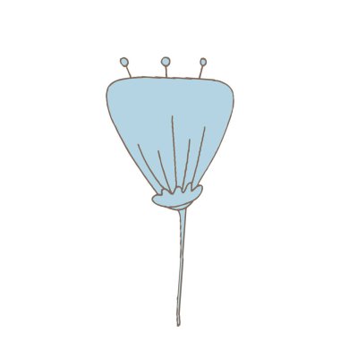 basit alışılmadık çiçekler