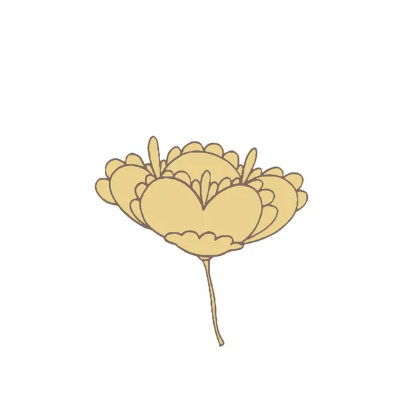 간단한 특이 한 꽃 — 스톡 벡터