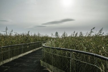 Deniz fenerine giden yol.